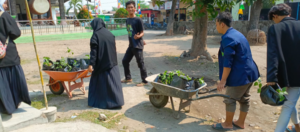 Mahasiswa KKN IAINU Bangil Ajak Warga Pandelegan Budidaya Tanaman Cabai Rawit